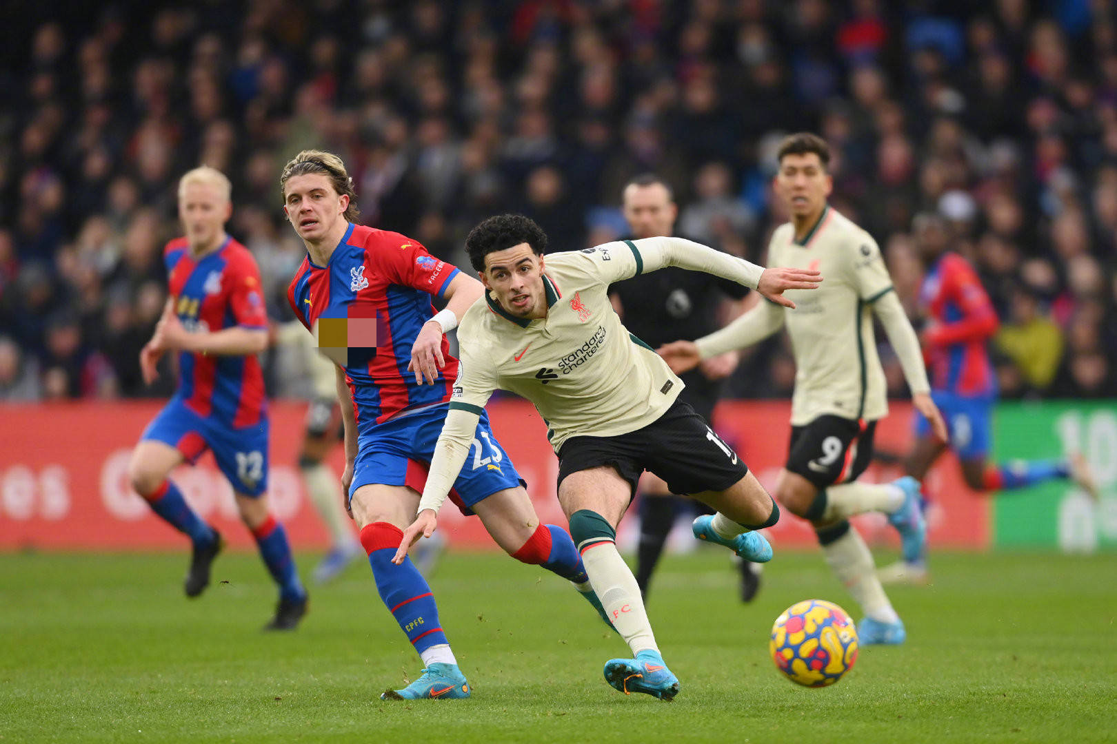 和地区的不 和地区的不